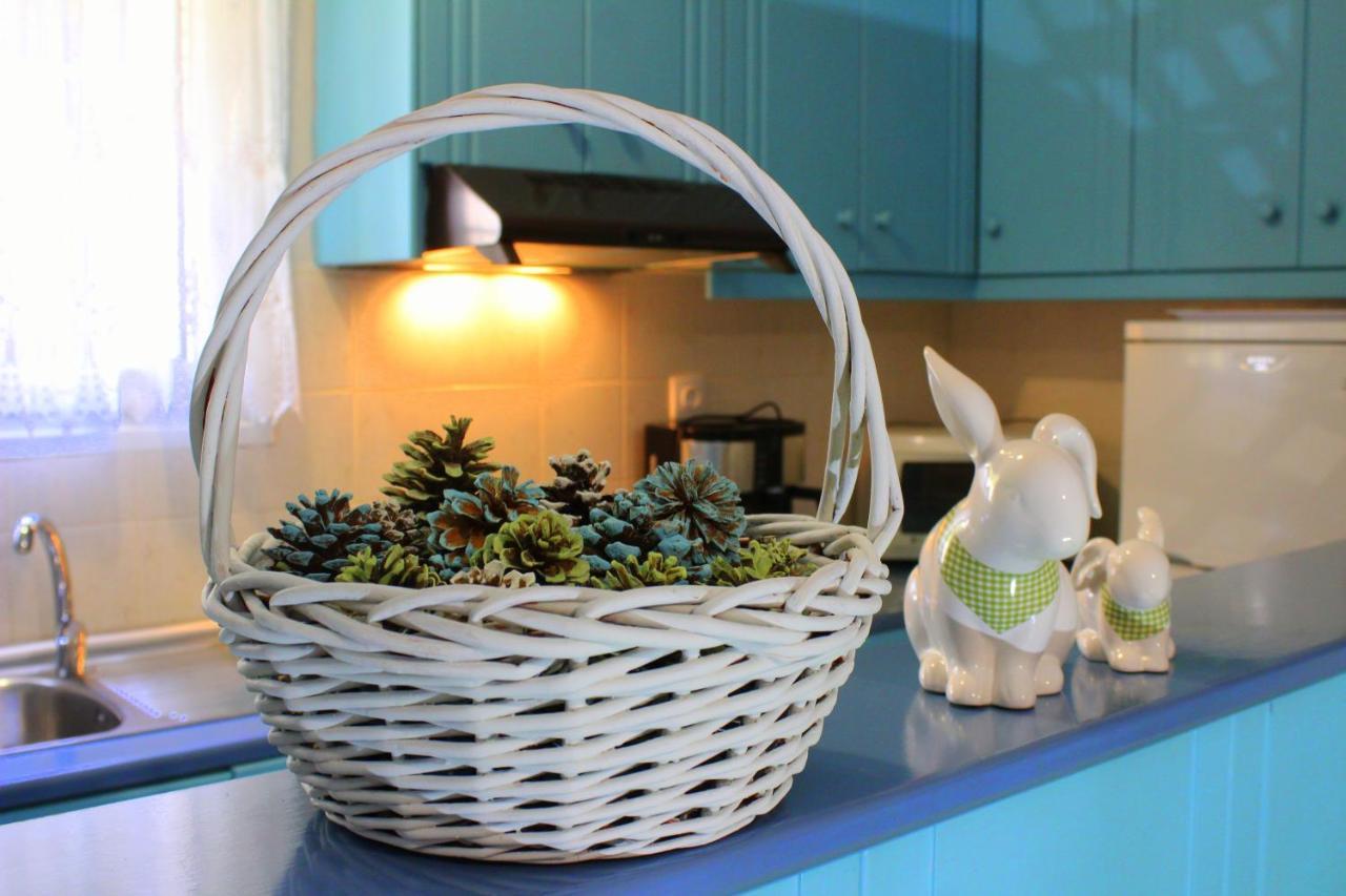 Tzaneria Apartments Skiathos Kanapitsa  외부 사진