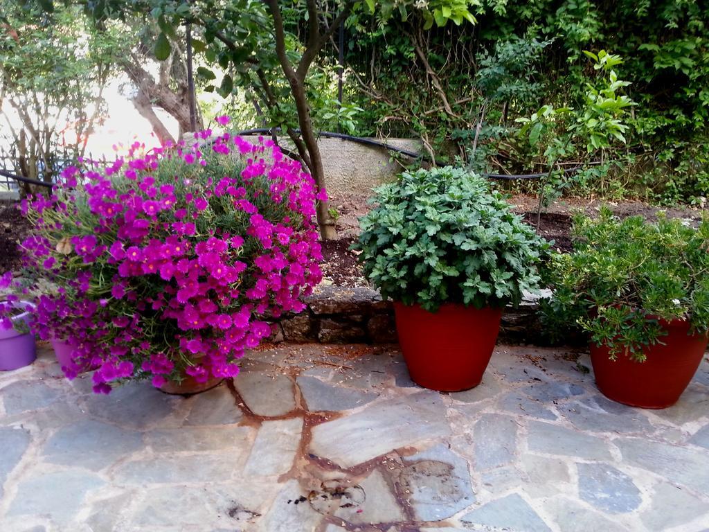 Tzaneria Apartments Skiathos Kanapitsa  외부 사진